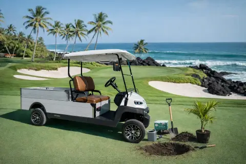 KleverCargo Golf Cart with Lithium battery 500kg thumbnail 2