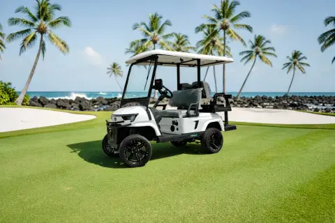 KleverEvo-4: Lifted Electric Golf Cart with Lithium Battery thumbnail 1